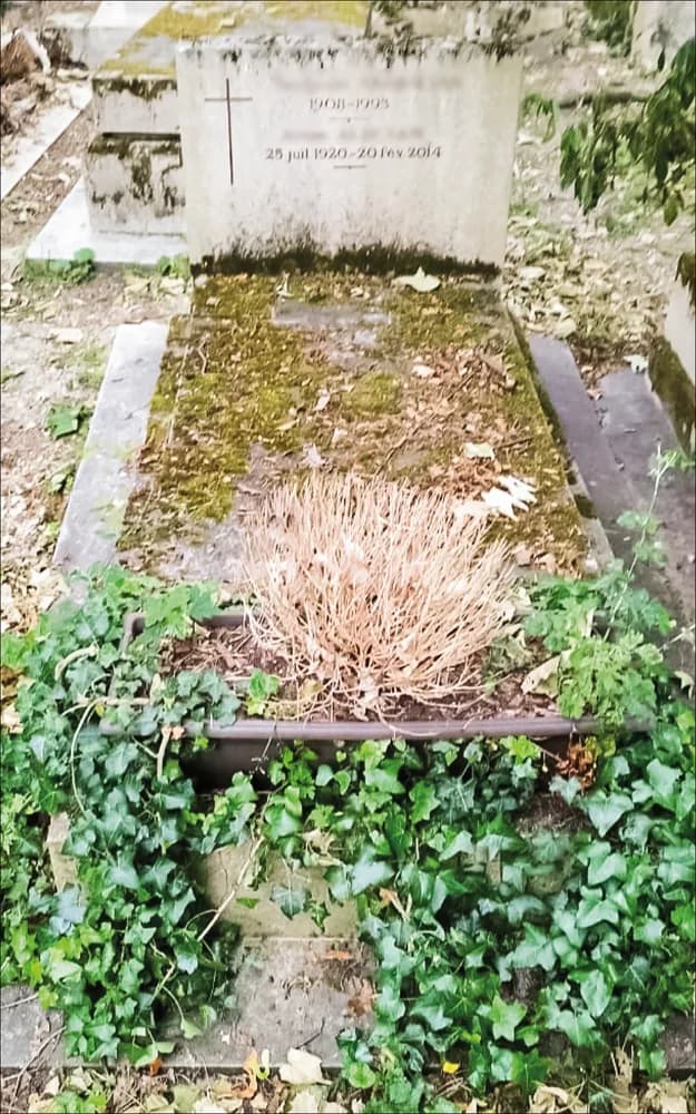 Dalle recouverte de mousse et de lierre, plante fanée au pied de la stèle