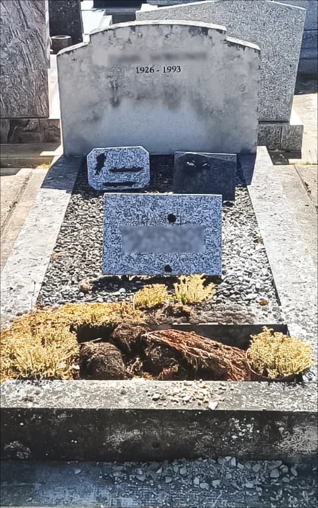 Sépulture à stèle arrondie, pierre grisée et arbuste desséché dans la jardinière