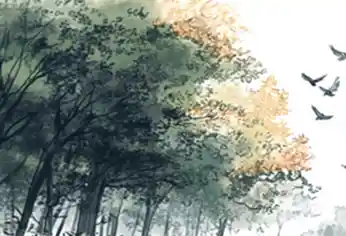 Aquarelle : des oiseaux traversent la cime des arbres